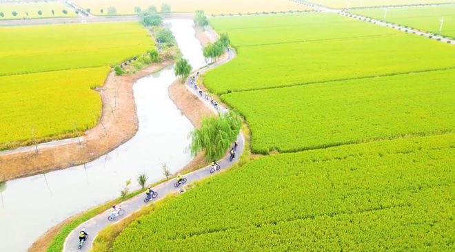 画里乡村来宝山这里绘就现代田园诗篇~ 爱申活暖心春(图2)