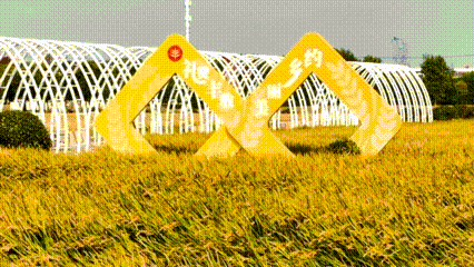 画里乡村来宝山这里绘就现代田园诗篇~ 爱申活暖心春(图5)