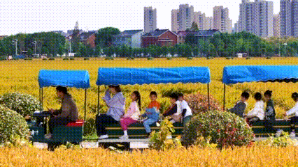 画里乡村来宝山这里绘就现代田园诗篇~ 爱申活暖心春(图10)