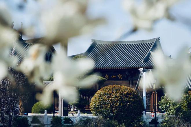 画里乡村来宝山这里绘就现代田园诗篇~ 爱申活暖心春(图13)