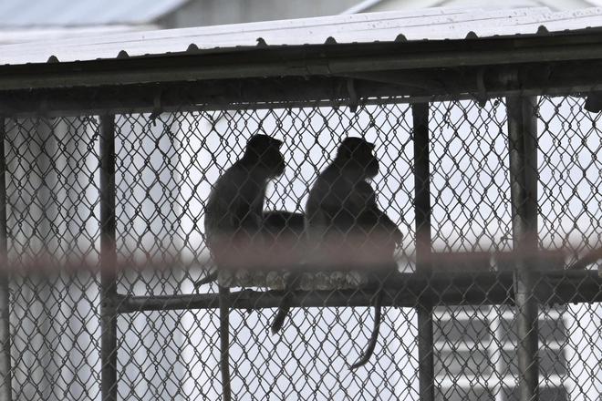 马斯克“裁公务员”计划曝光：削减法规拟取消远程办公强制每周到岗5天(图4)