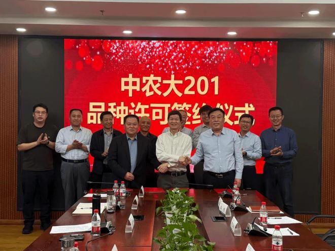 矮杆耐密型国审玉米新品种“中农大201”品种许可签约仪式成功举行(图1)