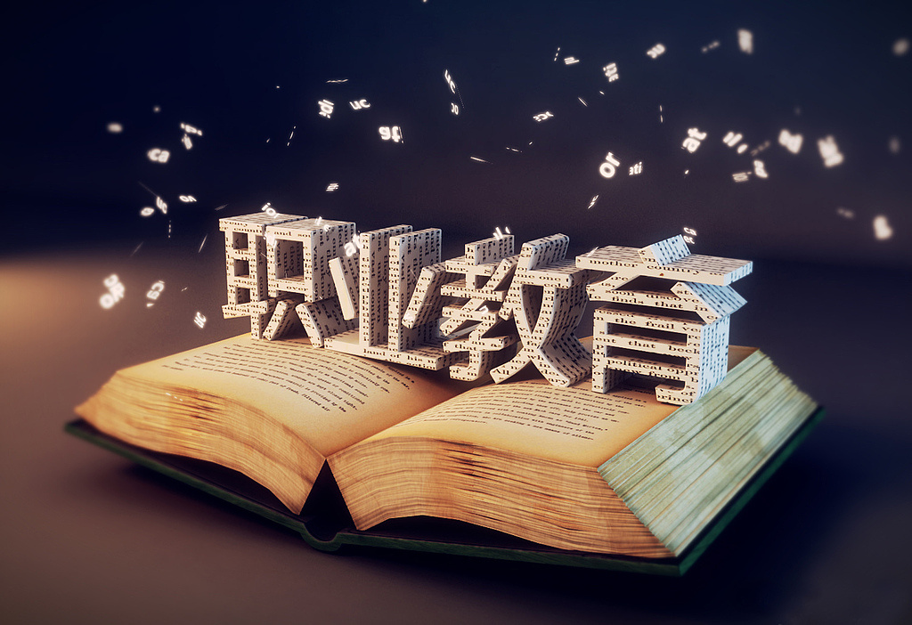 要“新”也要“高端” 职业教育如何育能工巧匠？(图1)