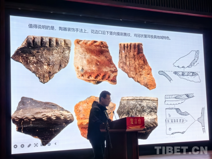 西藏考古：探索时空 追溯高原人类历史(图2)