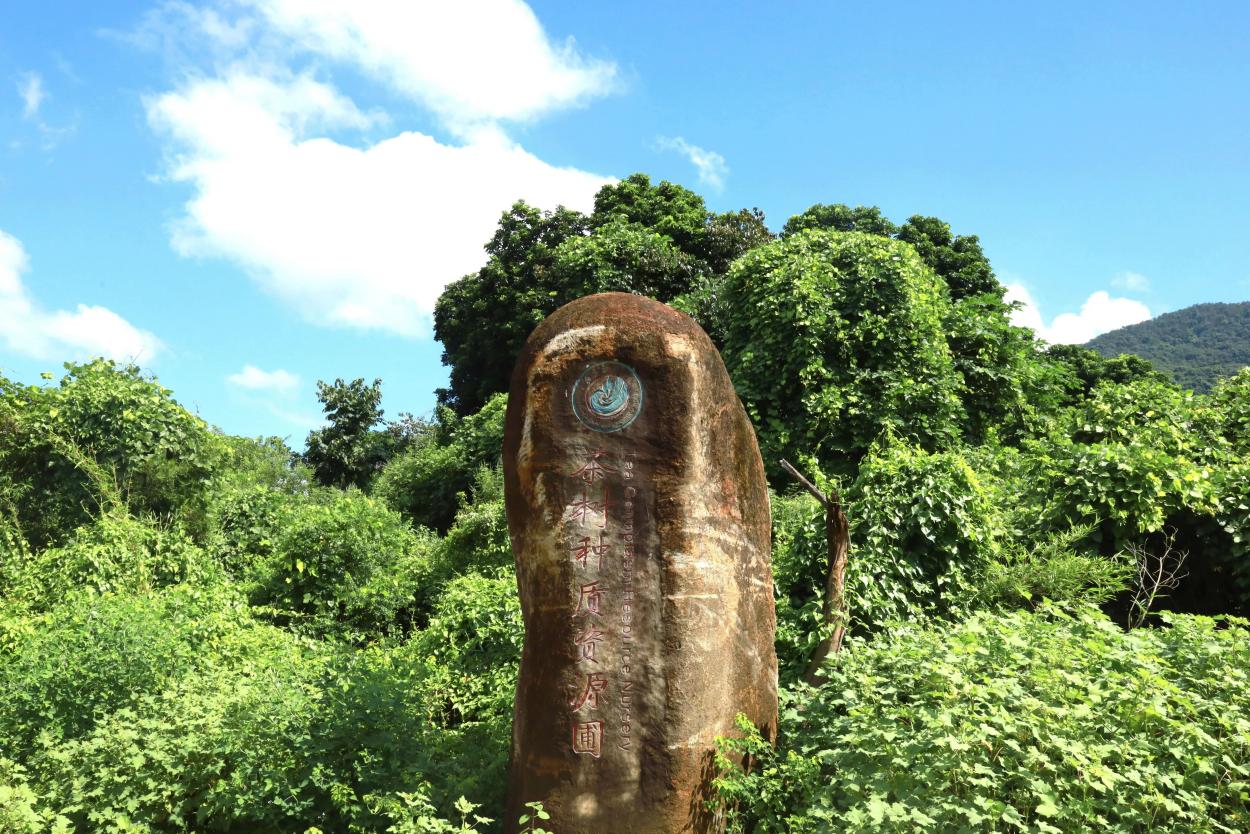 福建安溪：校地双向赋能 产教融合打造县域经济新样本(图3)