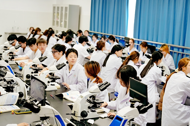 探秘岐伯山麓 郑州医药健康职业学院如何让千年岐黄智慧“重生”(图2)