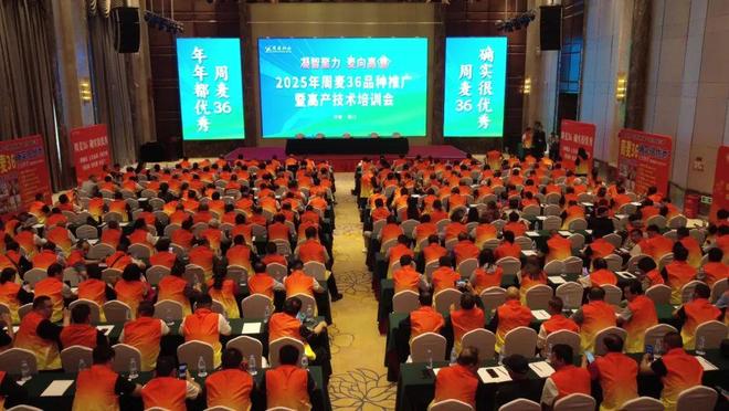 凝智聚力麦向高丰！2025年周麦36号品种推广暨高产技术培训会成功召开(图1)