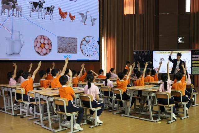 广石实验学校成功举办“AI赋能下小学英语跨学科教学研讨”活动(图3)