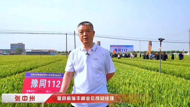 高产抗逆“豫同112”：国审小麦新品种观摩品鉴会成果丰硕(图3)