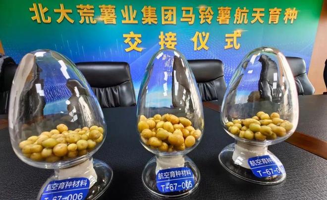 【融媒在线】哈洽在即北大荒亮点抢先看（一）！(图1)