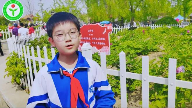 菏泽市第一实验小学：传承牡丹文化 弘扬牡丹精神(图6)