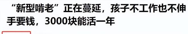 “新型啃老”正向全国蔓延：年轻人不上班不伸手要钱3000块能活(图27)